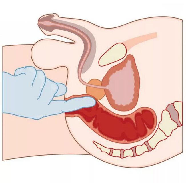 Еркектердің G-SPOC орналасқан жері
